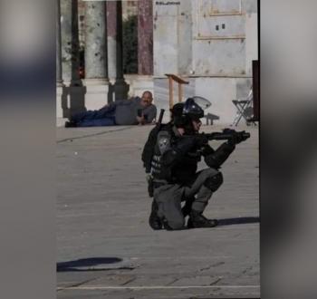 المقدس بدر صلاح