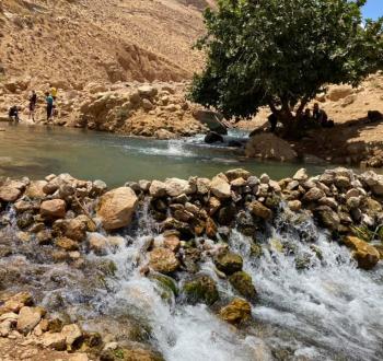عين العوجا.jpg