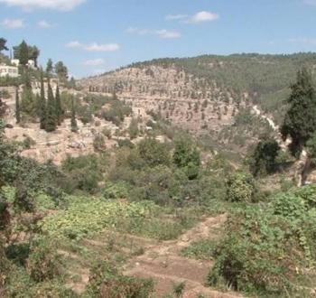 التنوع الحيوي في فلسطين