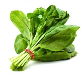 السبامخ
