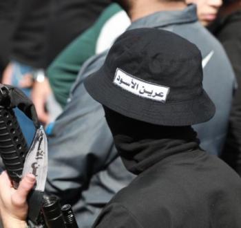 مجموعة عرين الأسود