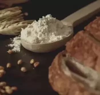 فطريات