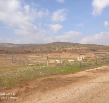 اعتداءات المستوطنين