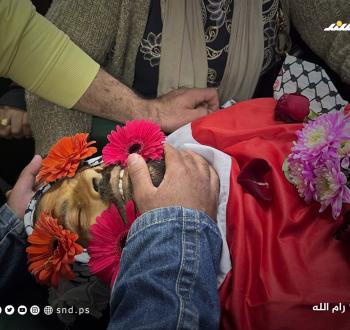 الشهيد أحمد كحلة