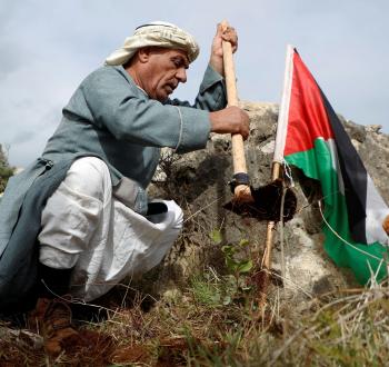 مواطن فلسطيني خلال فعالية لزراعة الزيتون.jpeg