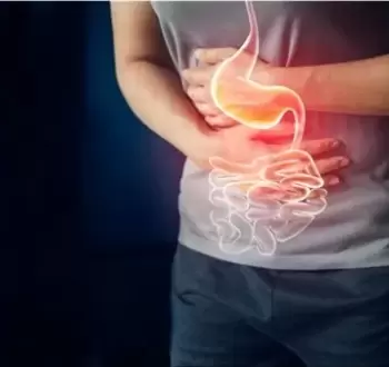القولون