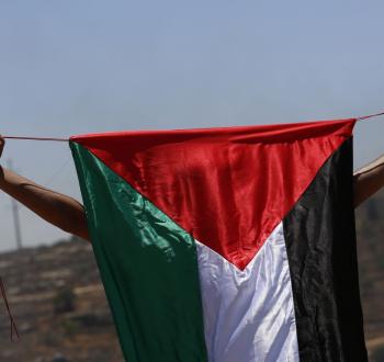شاب فلسطيني يرفع علم فلسطين خلال المواجهات.jpg