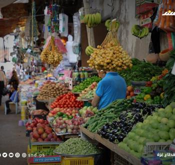 خضار غزة