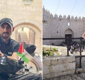 MergedImages.png