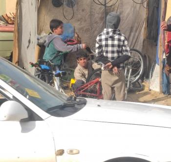 الدالي.jpg