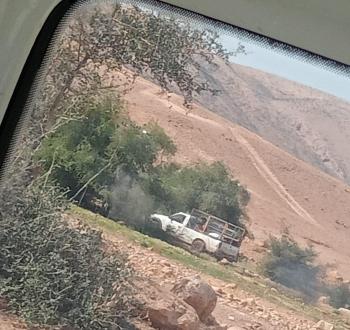بؤرة رعوية.jpg