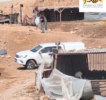 عرب المليحات