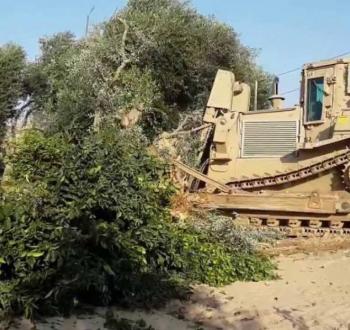 تجريف أراض فلسطينية.jpg