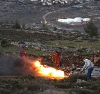مستوطنون يُضرمون النار في أراض فلسطينية