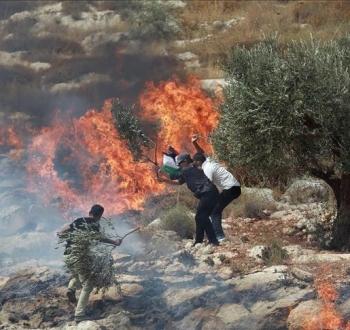 صورة تعبيرية.jpg