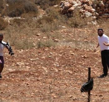 مستوطنون يعتدون على رعاة الأغنام الفلسطينيين