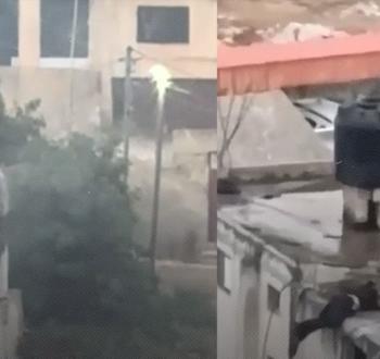 قباطية