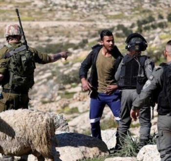قوات الاحتلال تعتدي على فلسطيني في الأغوار الشمالية.jpeg