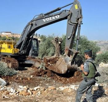 تجريف أراضي فلسطينية بحراسة قوات الاحتلال