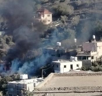 مستوطنون يحرقون أراض زراعية في جالود جنوب نابلس.jfif