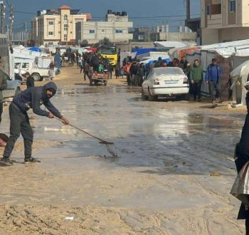 كوارث بيئية في قطاع غزة بسبب حرب الإبادة الجماعية بقطاع غزة