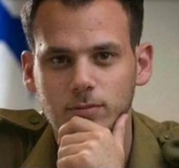 فيلدشتاين.png