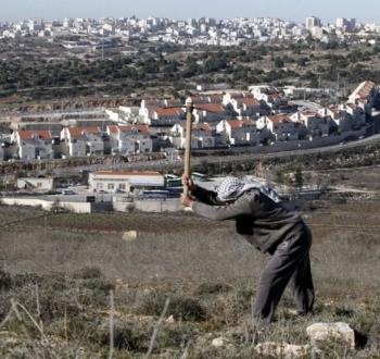 مزارع فلسطيني يفلح أرضه قبالة المستوطنات في رام الله.jpg