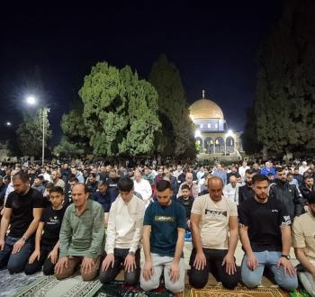 WhatsApp Image 2025-03-16 at 20.07.08.jpeg