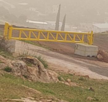 بردلة