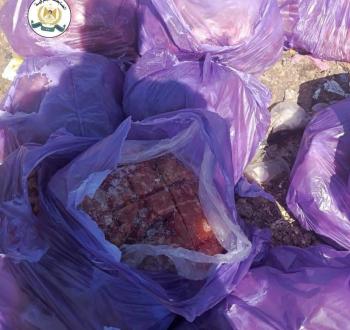 ضبط لحوم فاسدة (2).jpeg