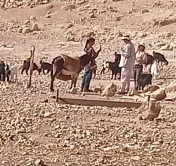 مستوطنون