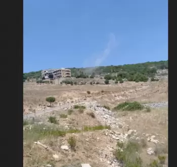 غارة النبطية