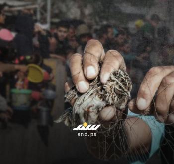 صيد العصافير
