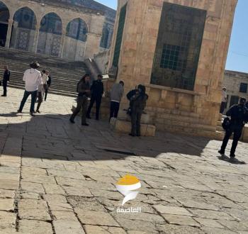 مستوطنون يقتحمون الأقصى (3).jpg