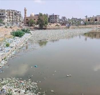 بركة الشيخ رضوان