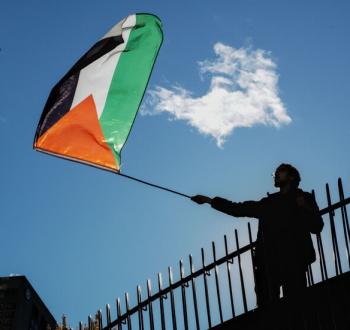 ناشط يرفع علم فلسطين