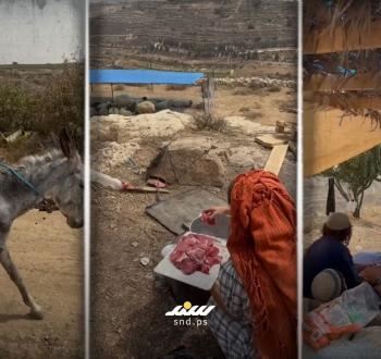 مستوطنون في الضفة