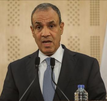 وزير الخارجية المصري