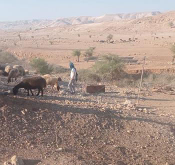 مستوطنون