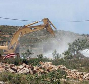 جرافة تابعة للاحتلال تقتلع أشجارا فلسطينية.jpg