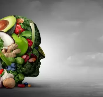 مغذيات المُخ.webp