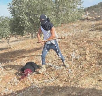 اعتداء مستوطنين على سيدة فلسطينية