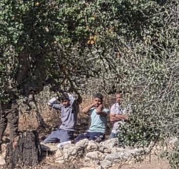 احتجاز شبان في نحالين