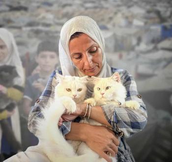 الحيوانات الأليفة في الإبادة