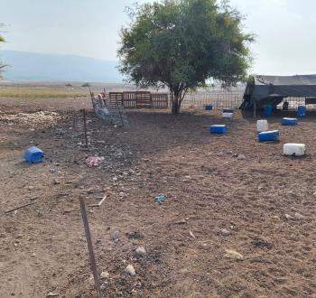 مستوطنون سرقوا معدات حظيرة ماشية في الأغوار