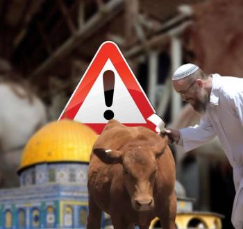 تهويد المسجد الأقصى