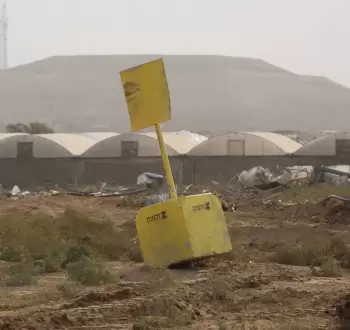 الخط الأصفر