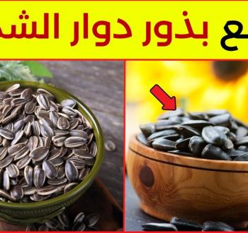 فوائد بذور عباد الشمس (اللب السوري) لا تقدر بثمن