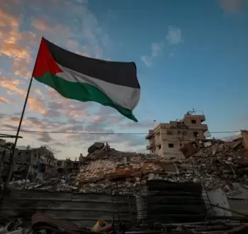 علم فلسطين.webp