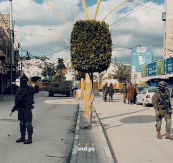 الخليل
